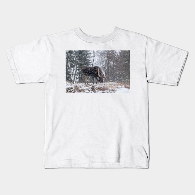 Moose in a snow storm Kids T-Shirt by josefpittner